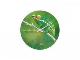 Часы настенные Nicole Time NT503 в Тулинском - tulinskij.mebel-nsk.ru | фото